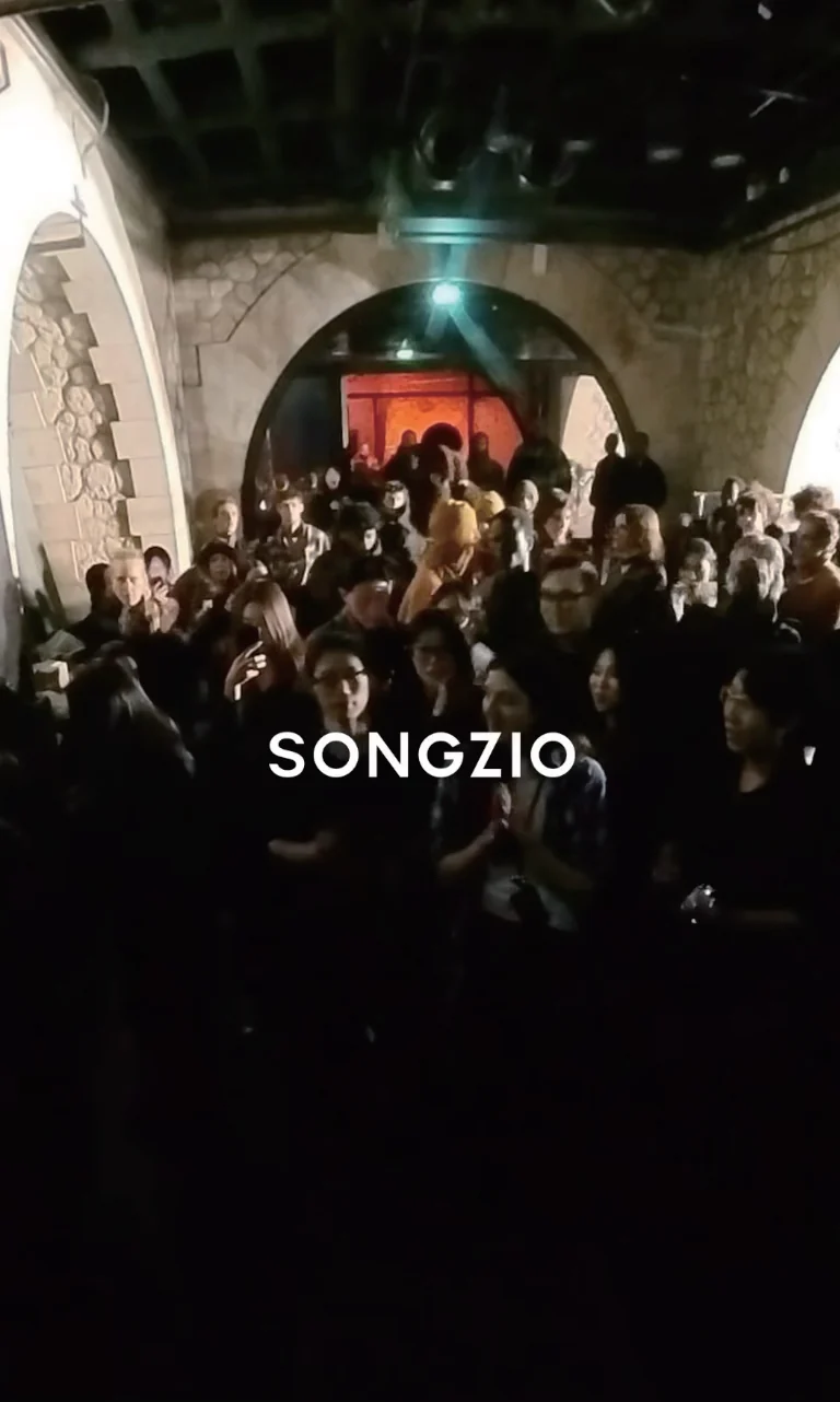 Songzio — image 1